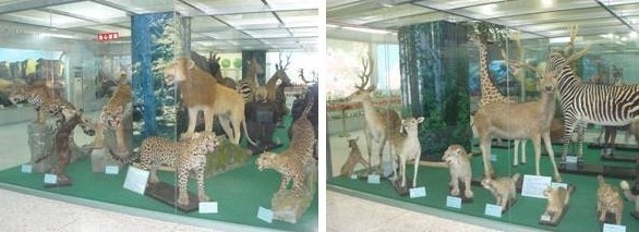 韩山师范学院生物科技教育基地简介